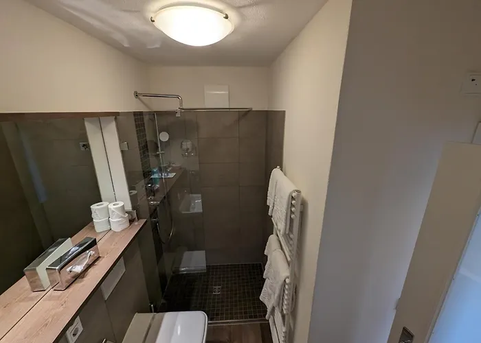 Hotel Weinhotel St. Stephanus Zeltingen-Rachtig